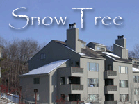 Mount Snow Real Estate Snowtree Condos Sold